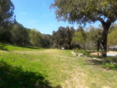 BOSQUE-1