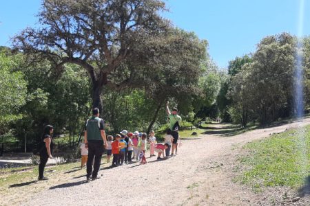 BOSQUE-3
