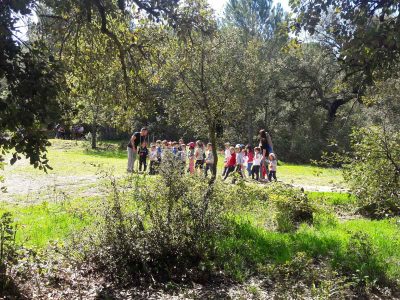 BOSQUE-7