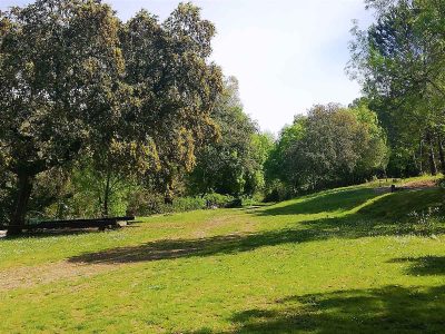 Bosque-laljara