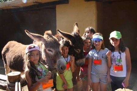 NIÑAS-BURROS